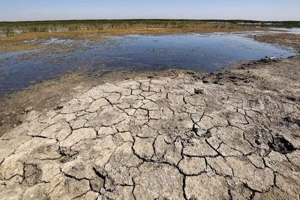 نواب يحذرون من عطش يضرب العراق بعد استمرار تركيا وإيران بقطع إمدادات المياه